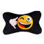 پشت گردنی
